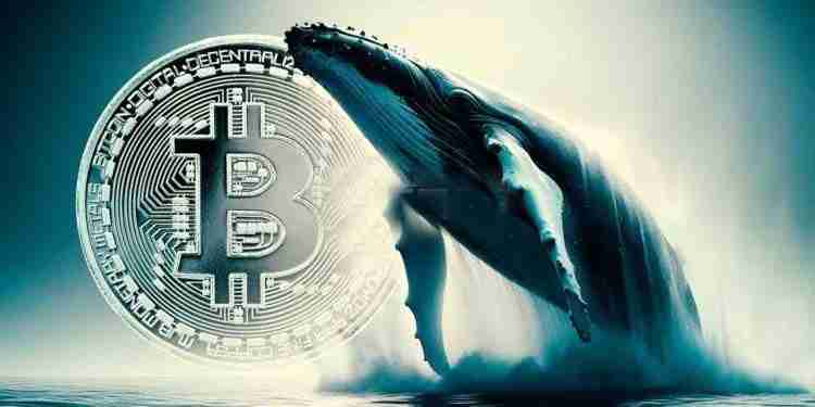 ai姨独家:8011万美金btc空单背后 或藏华尔街对冲基金操作模式